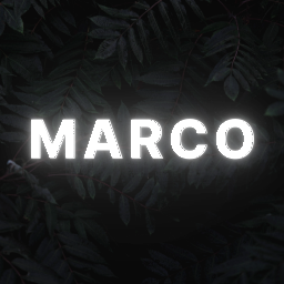 Profilbild Marco Belfort